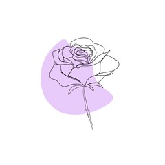 line art drawing of flowers. set line art set of flower a rose. minimalism sketch, idea for invitation, design of instagram stories and highlights icons