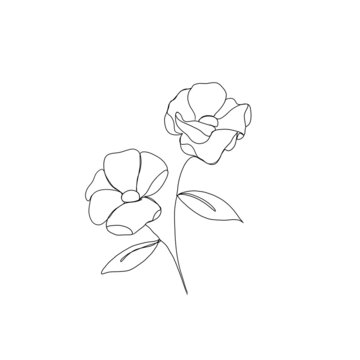  flower continuous line drawing. One line art. minimalism sketch, idea for invitation, design of instagram stories and highlights icons