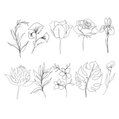 large set of plants and flowers line art. big set of line art of flowers and plants .minimalism sketch, idea for invitation, design of instagram stories and highlights icons