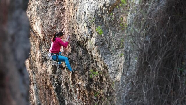 A woman climbs the rock. Training on natural terrain. Extreme sport. The climber trains on a natural relief. A young woman with a rope goes in for the sport of rock climbing on a rock.