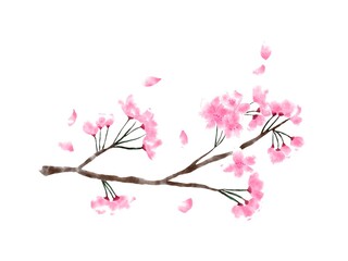 水彩風の桜