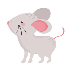 cute mouse spring animal