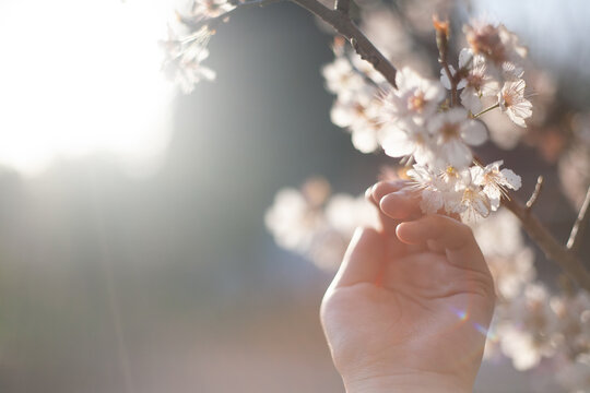 門出 Images – Browse 3,417 Stock Photos, Vectors, and Video | Adobe Stock
