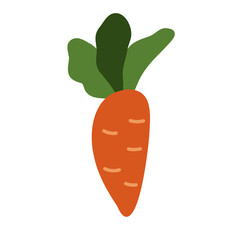 Carrot isolated on white background. Fresh vegetable