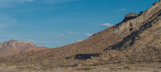 Landscape, desert of the Baja, in the state of Baja California Sur in Mexico, Near the Sea of Cortes, with cactus mountains and a blue sky in a warm summer afternoon. panoramic