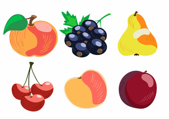 Vector set of 6 hand-drawn garden fruits: apple, blackcurrant, pear, cherries, peach, plum. Isolated on white background