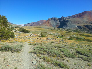 Alpine landscape near Tuolumne Meadows in Yosemite National Park, California