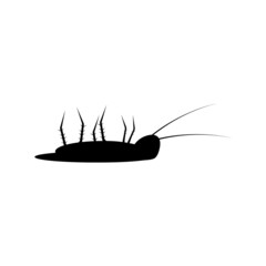 Cockroach icon template vector
