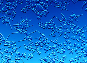 Drawings of ice on blue glass.