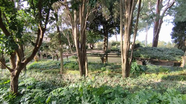 Anacapri - Panoramica dei giardini di Villa San Michele