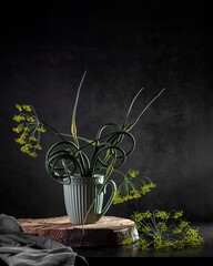 Bouquet of garlic arrows and dill umbels on a dark background