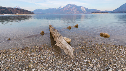 Alter Baumstamm liegt am Ufer