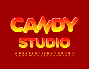 Vector playful Logo Candy Studio with Glossy Font. Creative Alphabet Letters and Numbers
