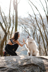 Attractive girl in sportswear giving high five to dog
