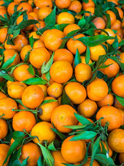 Fresh Tangerines with leaves (Citrus tangerina) at a food market