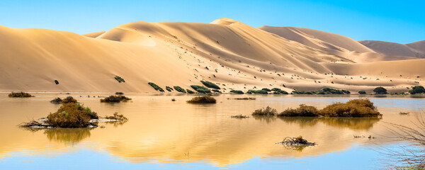 Fototapeta na wymiar Namibia, reflection of the dunes in the Namib desert