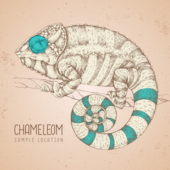 Hand drawing chameleon illustration. Graphic art. Vector illustration © annbozhko
