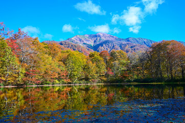 三ノ峰　刈込池　紅葉