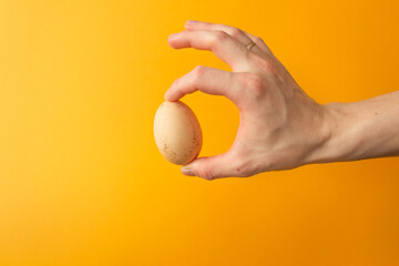 Fototapeta na wymiar Man's hand holding organic raw chicken egg with fingers. Yellow background. Easter holiday concept.