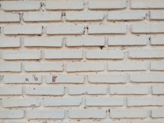  a beautiful white brick wall to serve as a background.