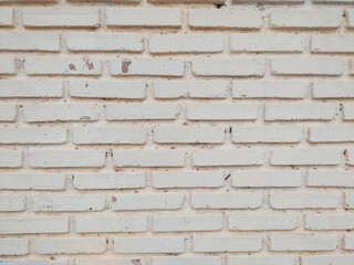  a beautiful white brick wall to serve as a background.