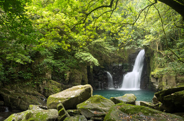 緑の森の下の鍵掛けの滝