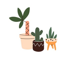 Potted leaf plants and cactus. Green interior houseplants growing in flowerpots. Natural home and office decoration. Room vegetation in planters. Flat vector illustration isolated on white background