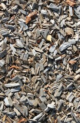 a pile of wood chips unsorted outside on a playground