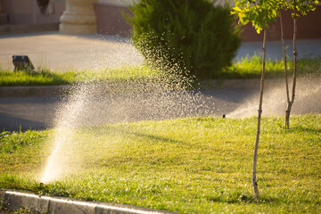 Obraz premium Lawn irrigation in the city in the park to moisten the grass and landscaping the city with copy space