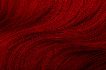 Red hair. Background hair closeup. Female long red-haired close-up as a background. Beautifully laid carroty wavy shiny curls. Hair coloring.Hairdressing procedures. Copy space with space for text.