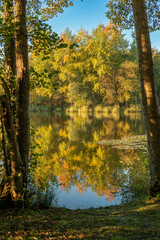 Autumn colors in the forest, reflected in water