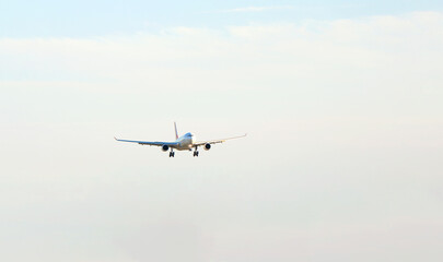 Passenger plane over the forest in the blue sky, the sun is shining. Transport, travel. High...