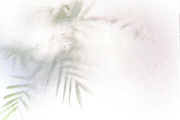 blurred silhouette palm leaves shadow effect. defocus picture with fog effect of palm leaves...