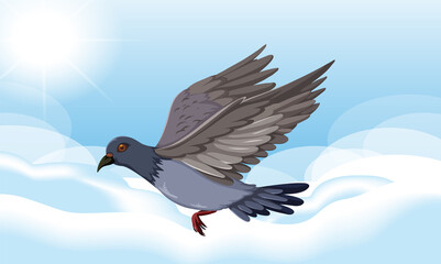 Rock dove bird flying in the sky