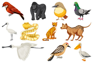 Different kinds of animals collection