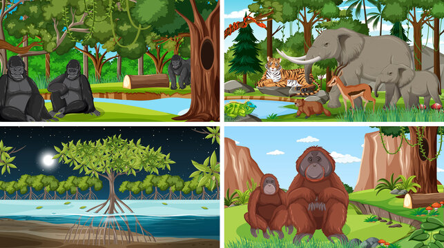 Four scenes with animals in forest