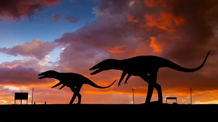 Poster Two Dinosaurs in Silhouette at Sunset along the road near Holbrook Arizona on Route 66 © neillockhart