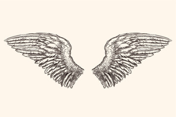 Two spread wings of an angel made of feathers isolated on a beige background.