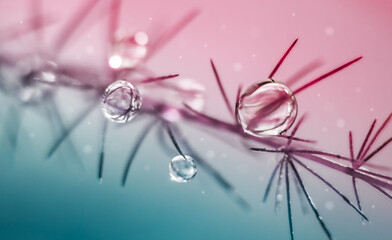 Water drops on a plant in pink and blue colors in macro.