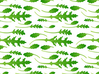 Arugula leaves seamless pattern. Vector background of rucola.