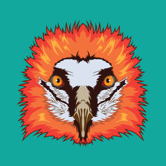 Bearded Vulture face vector illustration in decorative style, perfect for tshirt style and mascot logo