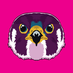 Falcon face vector illustration in decorative style, perfect for tshirt style and mascot logo