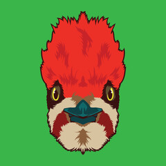Woodpecker bird face vector illustration in decorative style, perfect for tshirt style and mascot logo