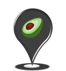 Map of avocado (Persea americana) is a medium-sized, evergreen tree in the laurel family (Lauraceae).