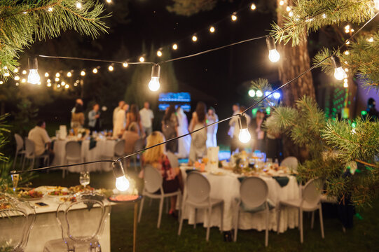 Decorative outdoor lighting lamps in the forest at a wedding party. Edison lamps on coniferous trees.
