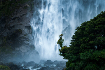 Lady Bowen Falls in Milford Sound with Southern Rata forest in foreground, South Island.