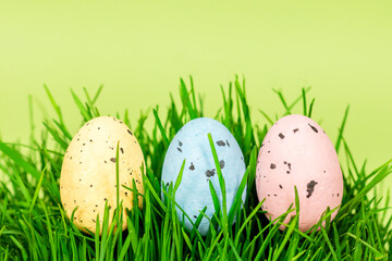 Multi-colored Easter eggs in green grass on a green background. Place for an inscription, text. Easter concept.