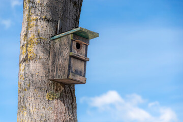 Birdhouse on a tree