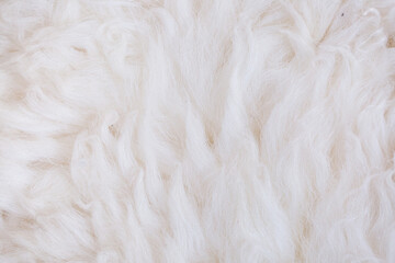 White animal fur. Weasel or cat hair. Fur clothes, white fur coat close up. Eco-wool, eco-leather artificial fur.