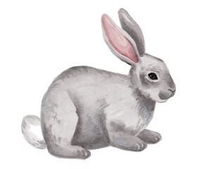 Hand Drawing Watercolor cute Gray Rabbit. Use for poster, card, children’s book, stickers, print, design